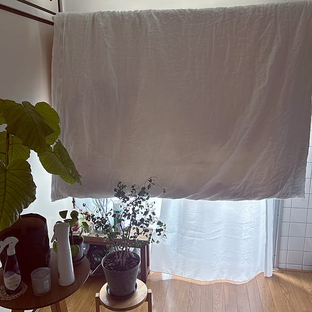 chill_roomのカインズ-カインズ(CAINZ) 取り付け簡単 カーテンレール用 室内物干しハンガー 2個入 ホワイトの家具・インテリア写真
