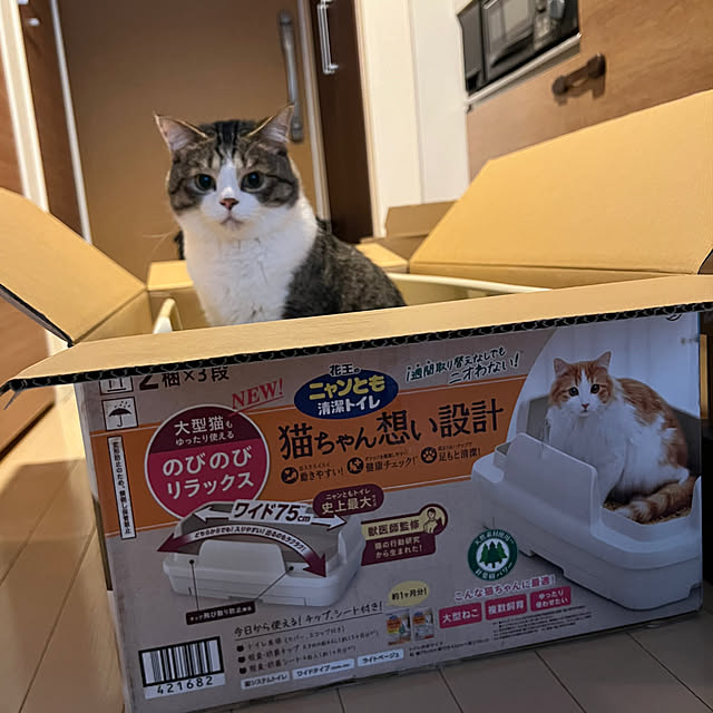 odashiさんの部屋