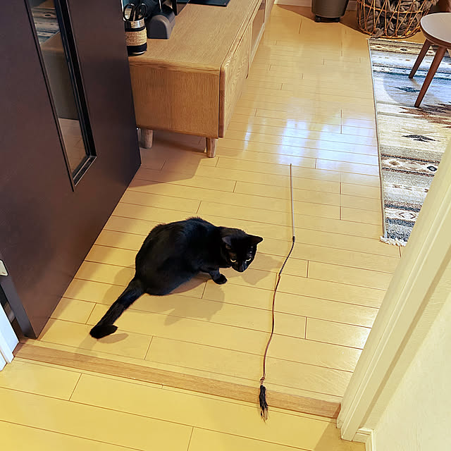 suemonta14さんの部屋