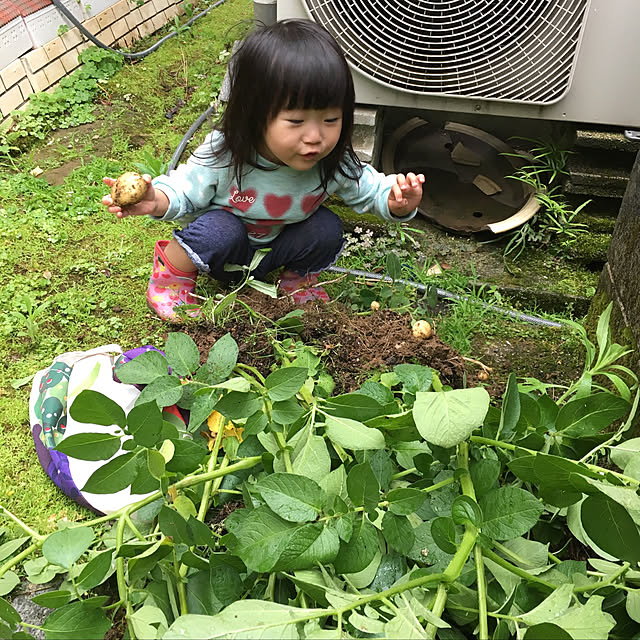 momomamaさんの実例写真