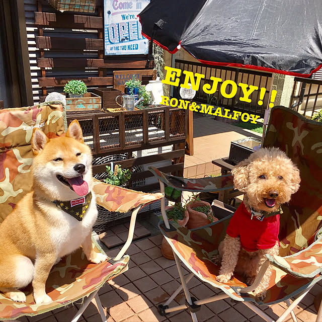 ronmaruさんの実例写真