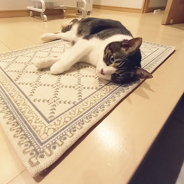 civicglさんの実例写真