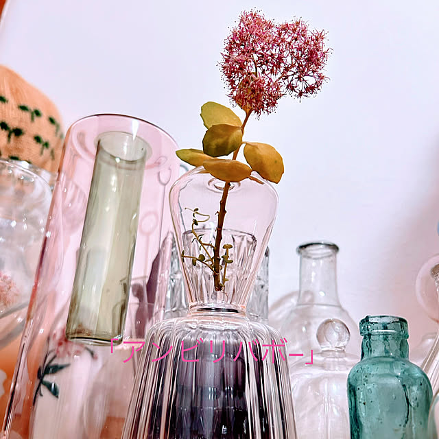 akaidarumaさんの部屋