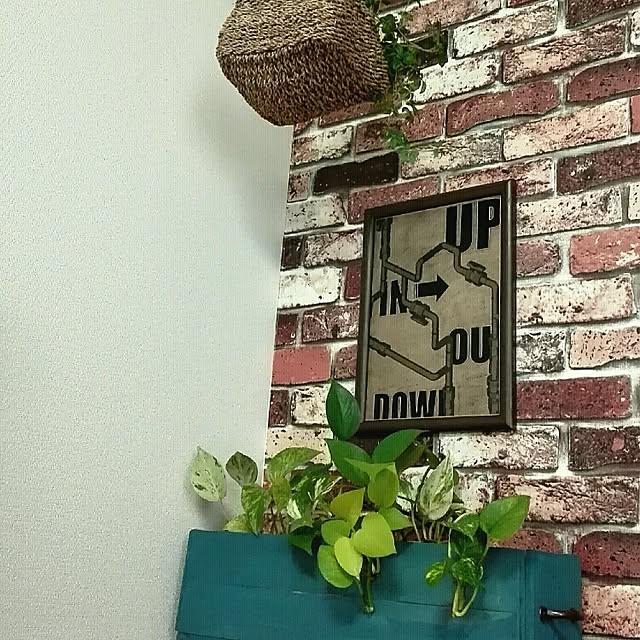 maiさんの実例写真