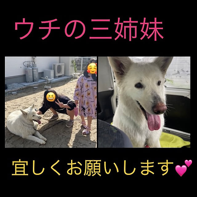 manekinekoさんの実例写真