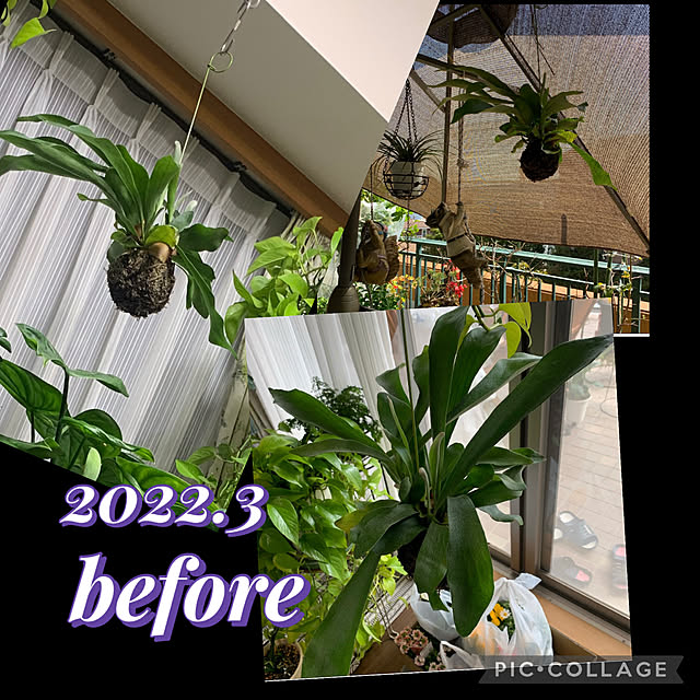 Aqettyさんの部屋