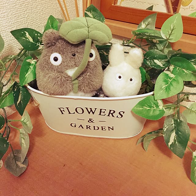 Mihoさんの実例写真