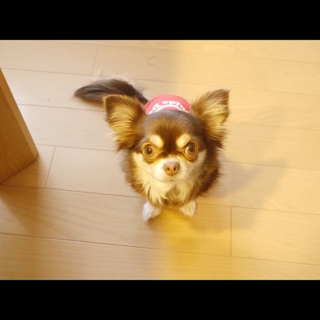 emibeiさんの実例写真