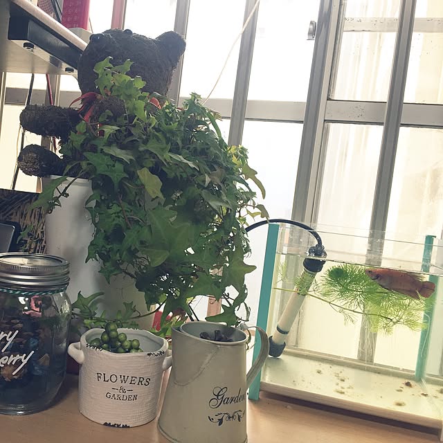 Mipoさんの実例写真