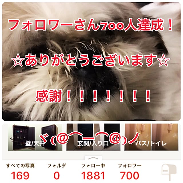 lenkaさんの実例写真