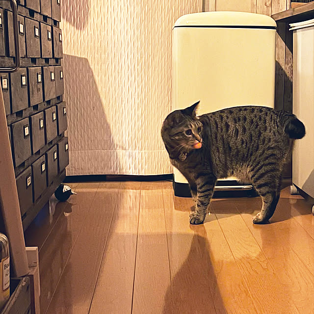 Mさんの実例写真