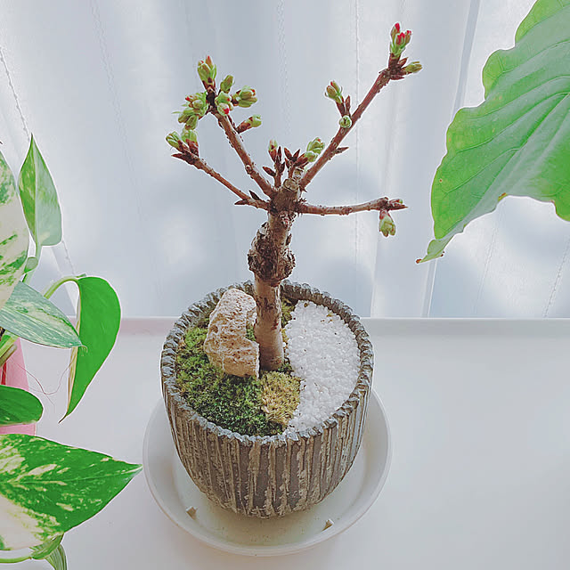 yuyuさんの部屋