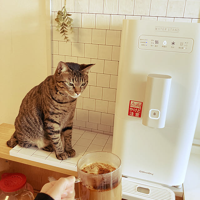 masamasaさんの実例写真