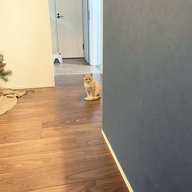 yhksさんの実例写真