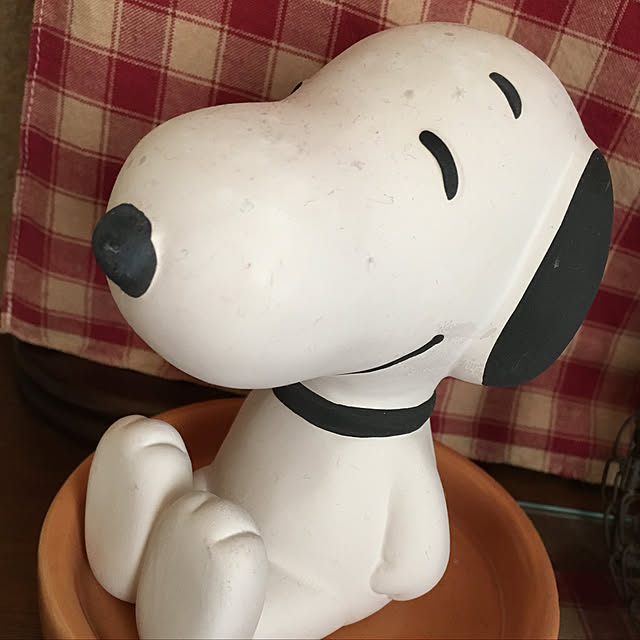 Suzu.さんの実例写真