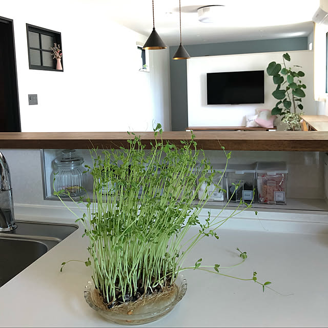 mint_homeさんの実例写真
