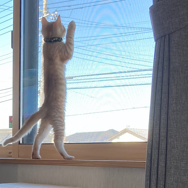 m.k.mさんの実例写真