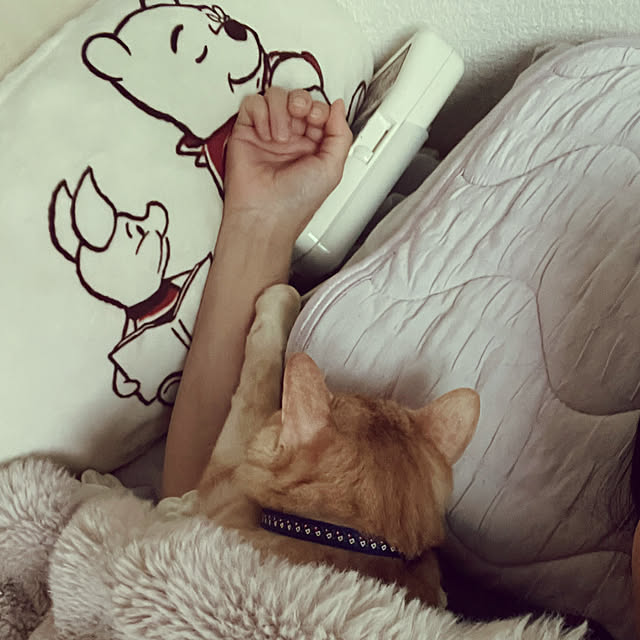 chiiさんの実例写真