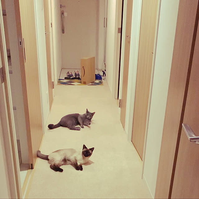 kurimarokoさんの実例写真
