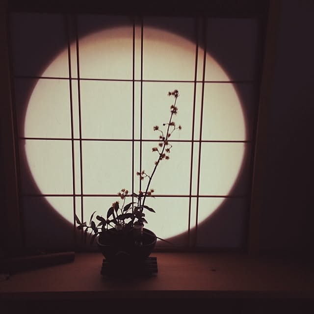 watch517さんの実例写真