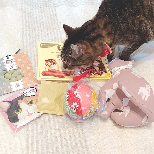 lovecatさんの実例写真