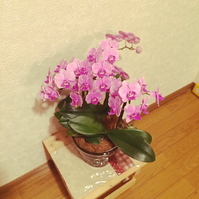yukaさんの実例写真