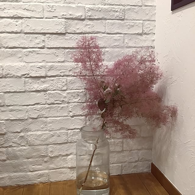 676mocaさんの実例写真