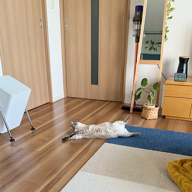 amさんの実例写真