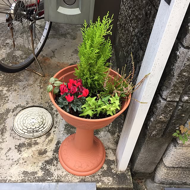 MARON1111さんの実例写真