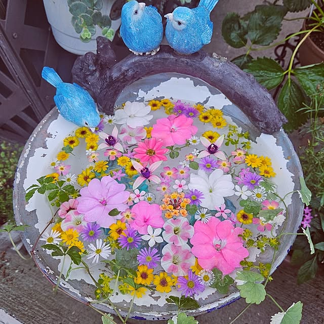 mocomocoさんの実例写真