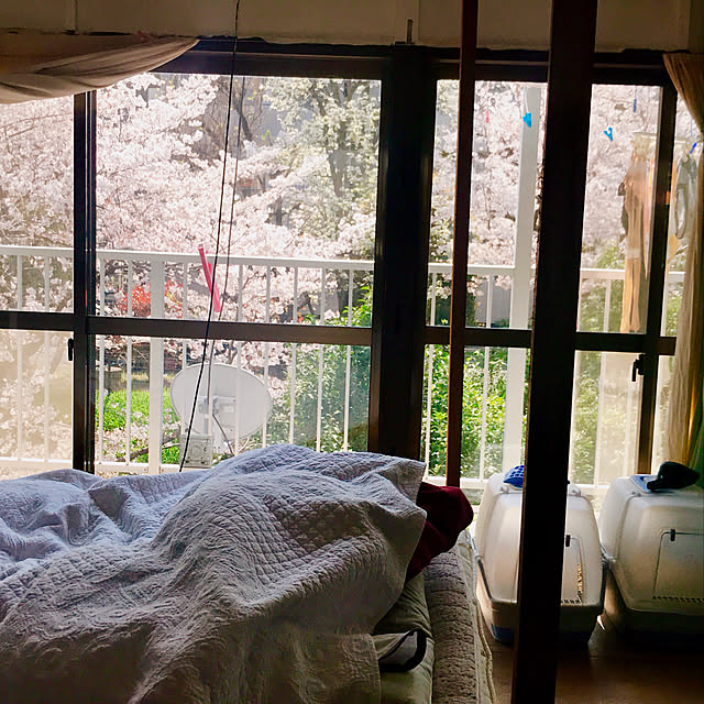 apartmentさんの実例写真