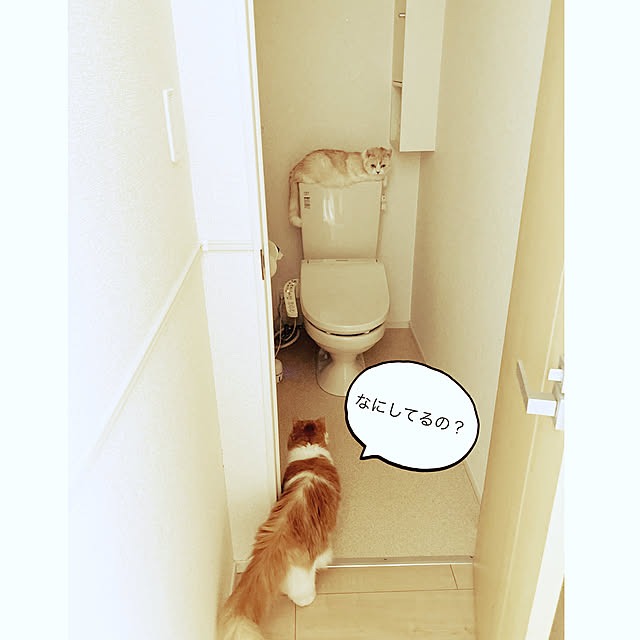 H.Tさんの実例写真