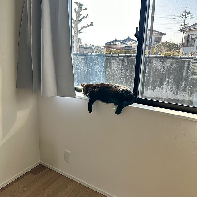kuromiさんの実例写真