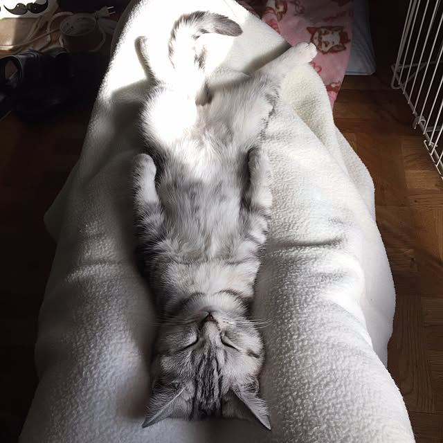 tanutanさんの実例写真