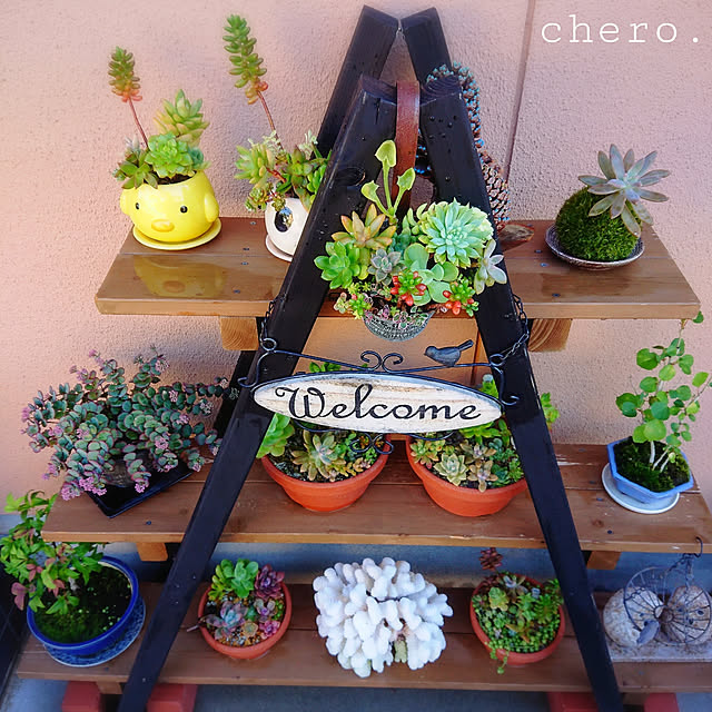 chero.さんの実例写真