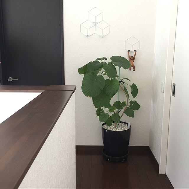 tagtag_kさんの実例写真