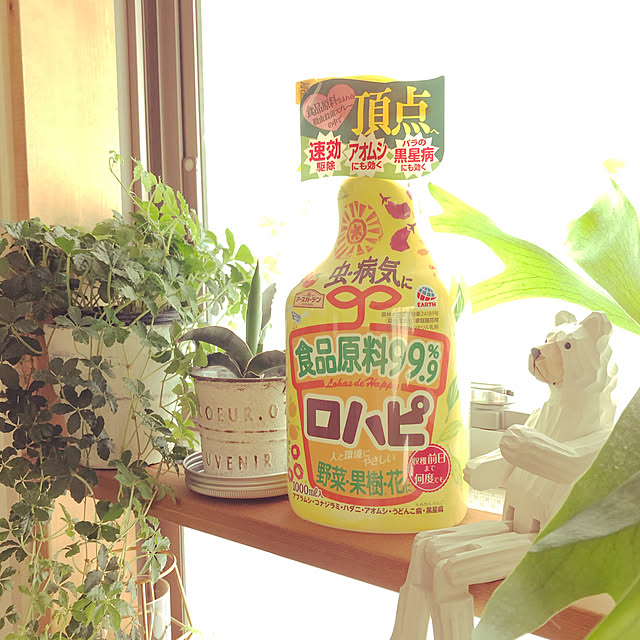 nikoさんの実例写真
