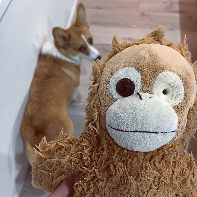 3ayuさんの実例写真