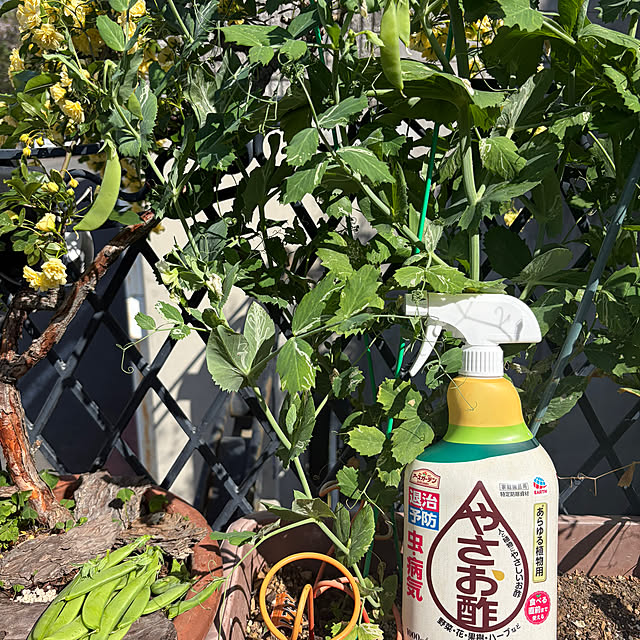 mikalove009さんの実例写真