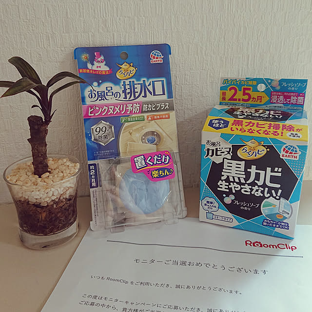 rinaさんの実例写真