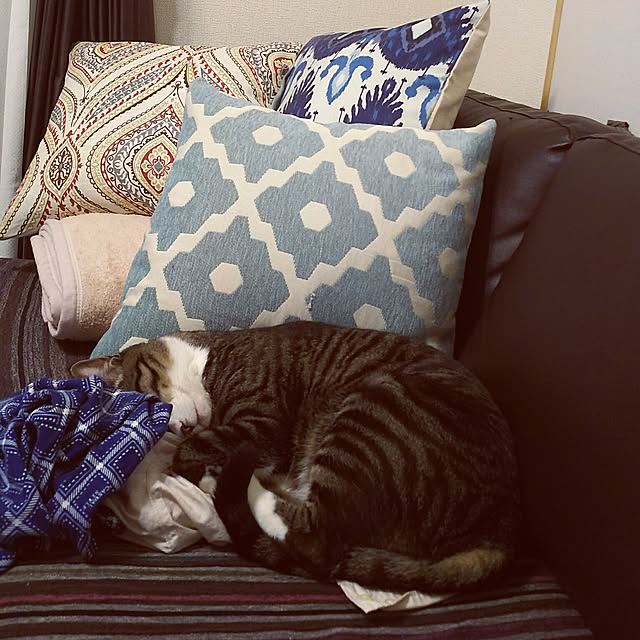 anago106さんの実例写真