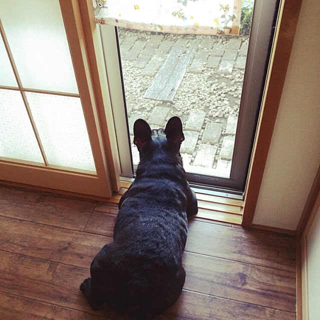 chicoさんの実例写真