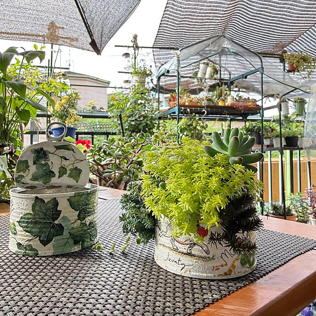 Aqettyさんの部屋