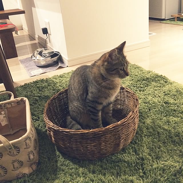 ayapiiiiceさんの実例写真