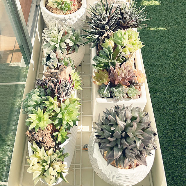 nanakoさんの実例写真