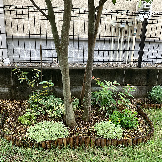 sayamamaさんの実例写真