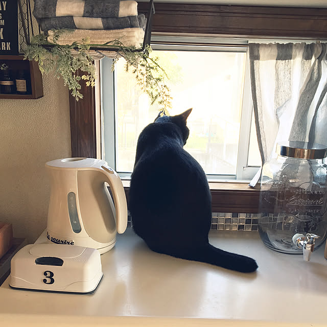 mahi1101さんの実例写真