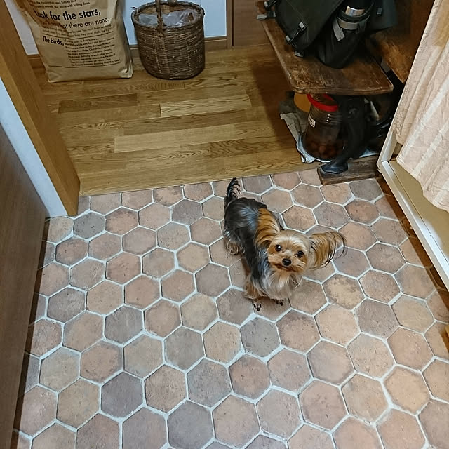 akiさんの実例写真