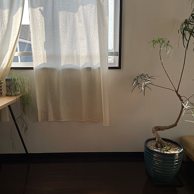 DiscoKidStudioさんの実例写真