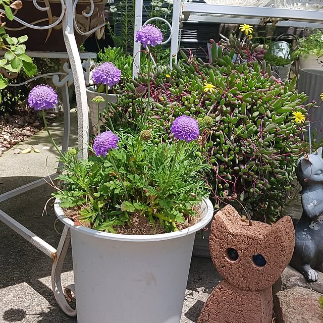 aiさんの実例写真